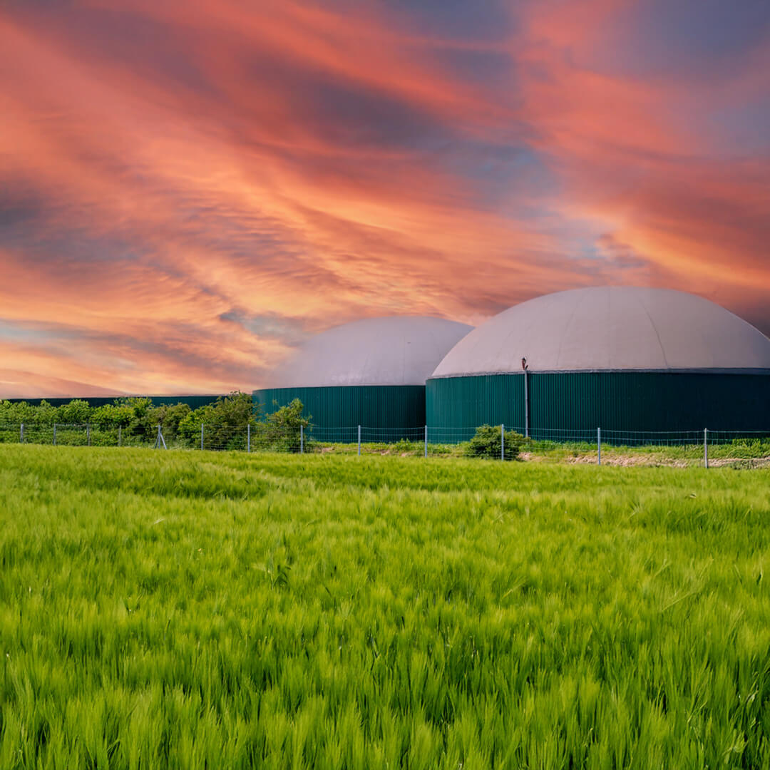 Perpetual Next Conversions i&nbsp;Neo Energy Group stworzą sieć biogazowni w&nbsp;całej Polsce