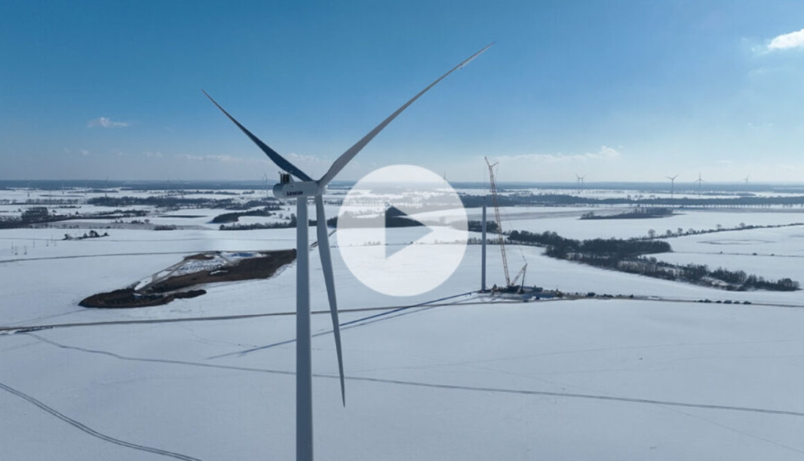 NEG_Realizacje_1200x628_Drzezewo-IV_01