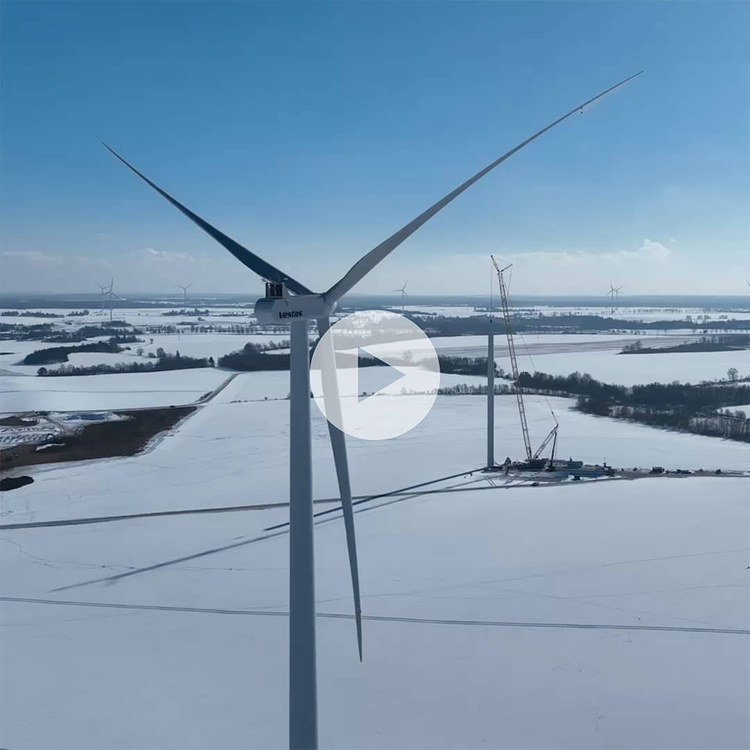 NEG_Relizacje_Drzerzewo_Overlay