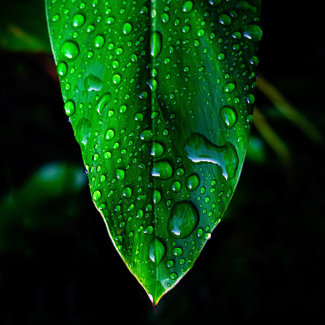 NEG_O-nas_1080x1080_Przyszlosc