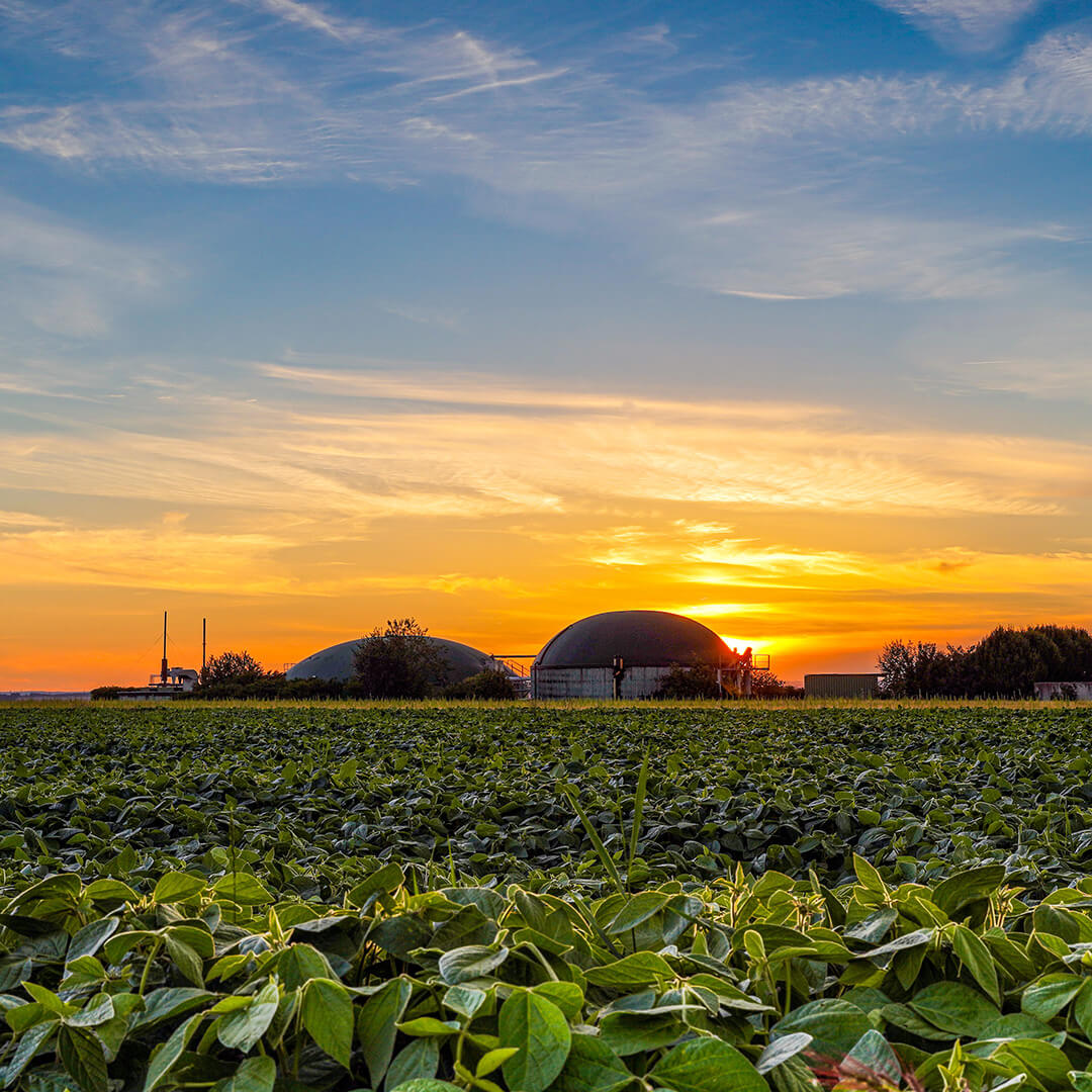 NEG_Oferta_1080x1080_Biogazownie_01