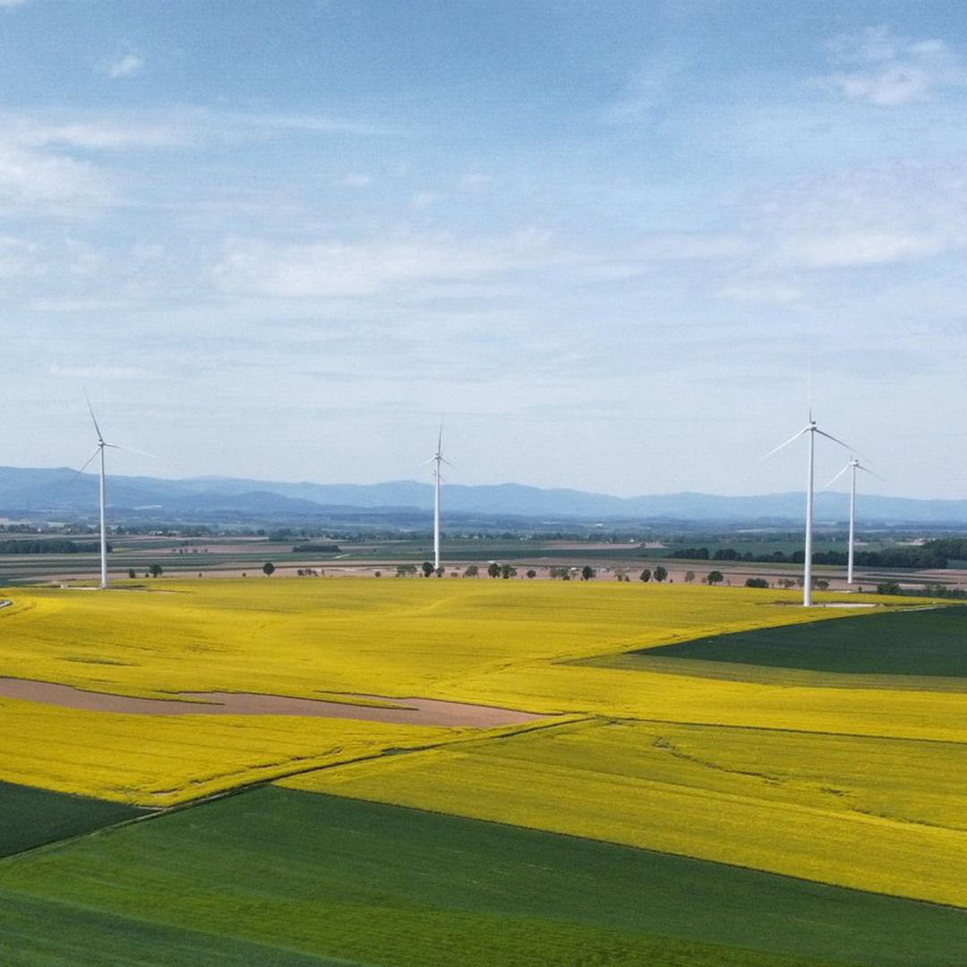 Neo Energy Group wspiera inicjatywy na&nbsp;rzecz zdrowia psychicznego dzieci i&nbsp;rodzin